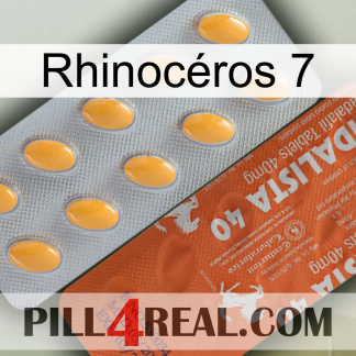 Rhinocéros 7 43
